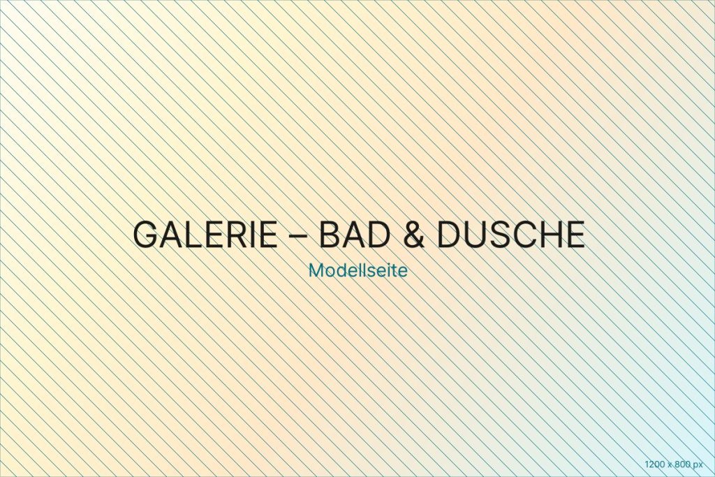 Bad mit Dusche und Trockentrenntoilette im SüdBadenVan